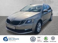 Skoda Octavia, 1.6 TDI Combi Ambition, Jahr 2019 - Papenburg