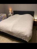 Bett mit Motor in 67459