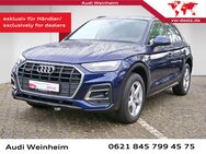 Audi Q5, 40 TDI quattro, Jahr 2022 - Weinheim