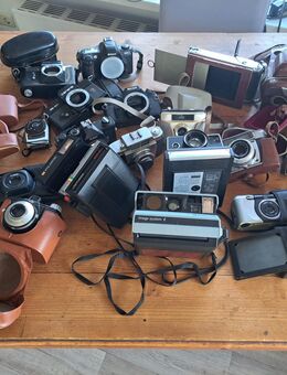 Zum Verkauf steht ein Konvolut aus 17 verschiedenen Kameras - Volsemenhusen