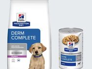 12 kg Hill's Prescription Diet + 3 x 370 g Derm Complete Nassfutter gratis! - Derm Complete Puppy