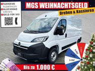 Opel Movano, 35 L2H2 140 # #, Jahr 2024 - Bayreuth