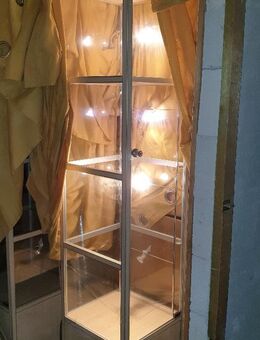 Glasvitrine mit Beleuchtung, 2 Stück, Vitrine, Schrank, Spind, - Hamburg Altstadt