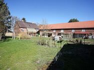 Hauptstadtmakler-Bezugsfreies Bauernhaus mit großem Grundstück - Golßen