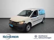 VW Caddy, Maxi Kombi Basis, Jahr 2020 - Aschaffenburg