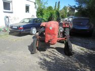 Porsche Allgaier Traktor Ap 22 Bj 1952 2 Zylinder 22 PS - Wiernsheim