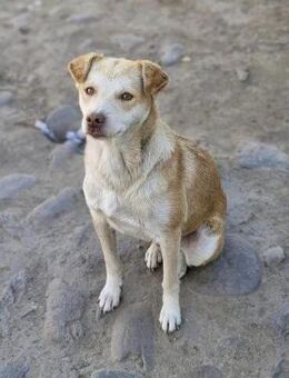 Jaro, ein kleiner, schüchterner Kerl - Bochum