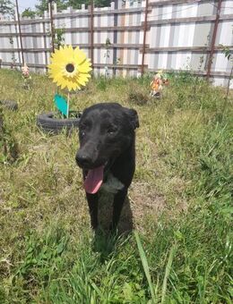 Nobody möchte kein Niemand mehr sein - Overath