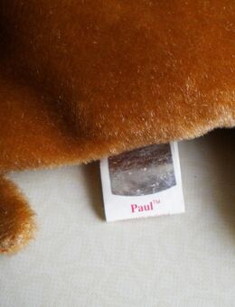 Ty-The Beanie Babies Collection-Paul-Walroß von 1999,ca. 20 cm - Linnich