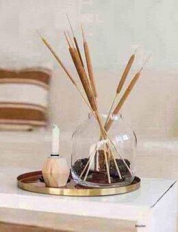 Sportlicher Mieter gesucht - Magdeburg