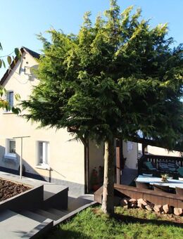 freistehendes Einfamilienhaus in ruhiger Lage - Hauenstein