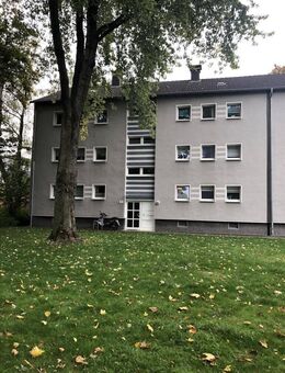 Bringen Sie Ihr Herz mit, es wird sich wohlfühlen! - Marl (Nordrhein-Westfalen)
