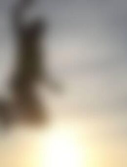 Gir*** - Dietmannsried