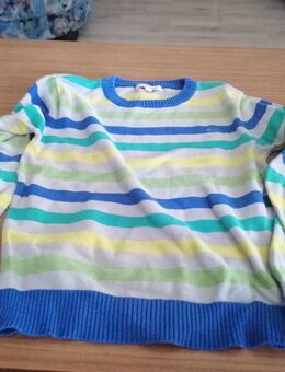 Gestreifter Pulli von Blue Zoo - age 5-6 - Pirmasens