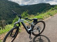 Cube Reaction Hybrid Pro - 625 WH- 85 nm Größe 19 L- Rad“29 - Bernkastel-Kues
