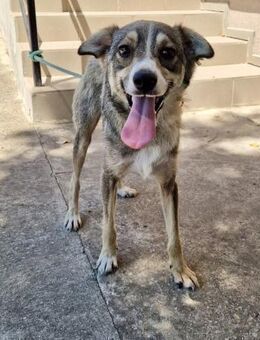 ELISIA ist kinderlieb klug und sanft ♥️ - München