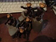 Playmobil Affen auf Berg - Bramsche