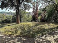 Großzügige Einliegerwohnung mit Ausblick auf das Maintal und eigenem Garten - Ochsenfurt