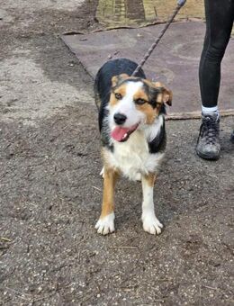 Gelehrig + kinderlieb = lieber MOMO ♥️ - München