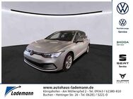 VW Golf, 2.0 TDI VIII Life, Jahr 2023 - Lauda-Königshofen