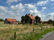 Landhaus mit Stallgebäude und 1.7 ha Ländereien in Großheide - Großheide