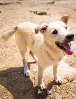 Freddy - Schwaig (Nürnberg)