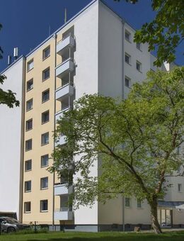 3-Zimmer-Wohnung in Bad Driburg - Bad Driburg