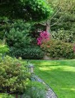Gartenpflege, Heckenschnitt, Baumschnitt, Rasenschnitt, Unkrautentfernung. - Waldbreitbach