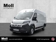 Fiat Ducato, L4H2 180 Maxi Visibility Techno Plus Worksite, Jahr 2024 - Köln