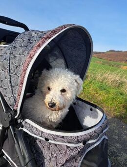 TOTO - Freude und gute Laune verbreiten - Overath